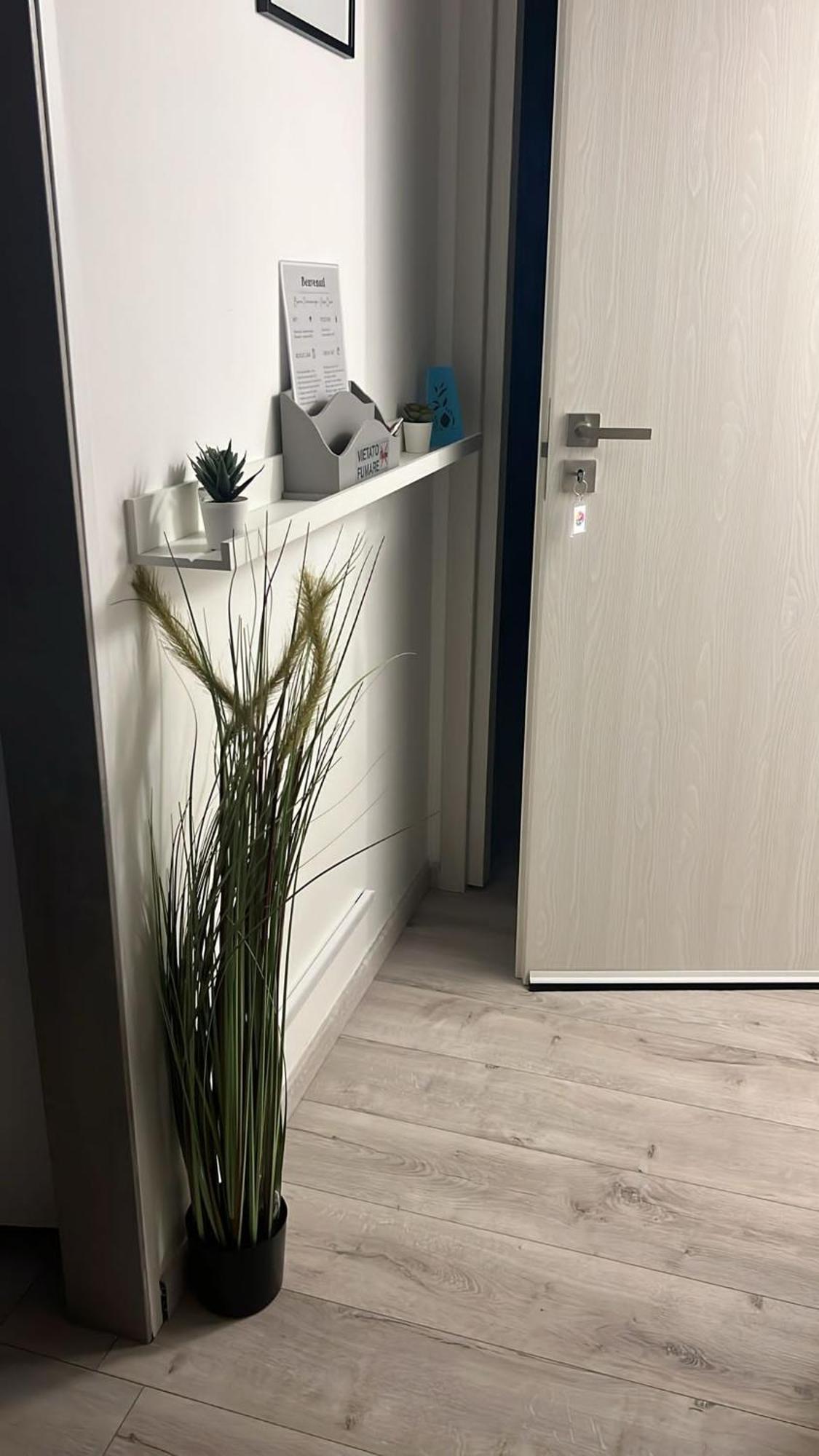 Carpe Diem Adult Only Appartement Rome